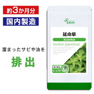 y1,000~|bLΏ 11/20 22`z  3 C-179 (90JvZ)  vT Tvg ISA ACGXG[ NHi ߂