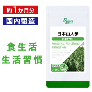 yő50OFFN[|zzz {RlQ 1 C-180 (90JvZ)  vT Tvg ISA ACGXG[ NT|[g Y qEKgEL