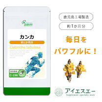 楽天市場】カンカ サプリメントの通販