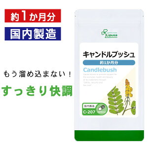 �y100�~OFF�N�[�|���z�z���z �L�����h���u�b�V�� ��1������ C-207 (90�J�v�Z��) �������� ���v�T �T�v�������g ISA �A�C�G�X�G�[ �_�C�G�b�g�T�v�� �n�l�Z���i