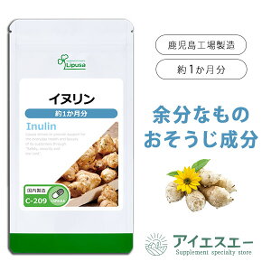 yő50OFFN[|zzz Ck 1 C-209 (90JvZ)  vT Tvg ISA ACGXG[ _CGbgTv e LNC CkpE_[ ȕ