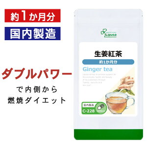 yő11OFFN[|zzz Ig 1 C-228  vT Tvg ISA ACGXG[ _CGbgTv e s݌ɌFܖ2026N730t