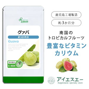 yő50OFFN[|zzz O@o 3 C-404 (180JvZ)  vT Tvg ISA ACGXG[ 唞t z r^~ JE H@ T|[g