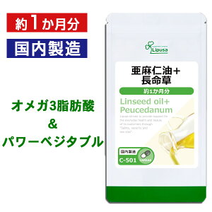 yő50OFFN[|zzz m{ 1 C-501 (60JvZ)  vT Tvg ISA ACGXG[ Y ו [ ׂɂӂz