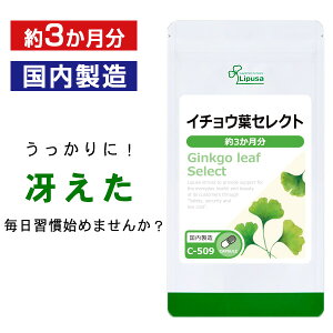 yő50OFFN[|zzz C`EtZNg 3 C-509 (180JvZ)  vT Tvg ISA ACGXG[ JVEs ~l⋋