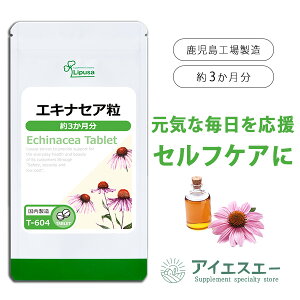 yő50OFFN[|zzz GLiZA 3 T-604 (360)  vT Tvg ISA ACGXG[ NHi CȖ