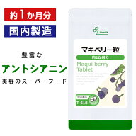 【1,000円ポッキリ対象 9/24朝9:59迄】 マキベリー粒 約1か月分 T-618 (120粒) 送料無料 リプサ サプリメ…
