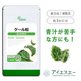 楽天市場 ケール サプリ 粒の通販