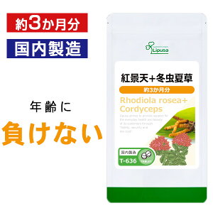 【最大50%OFFクーポン配布中】 紅景天+冬虫夏草 約3か月分 T-636 (360粒) 送料無料 リプサ サプリメント ISA アイエスエー カリウム 亜鉛 ミネラル