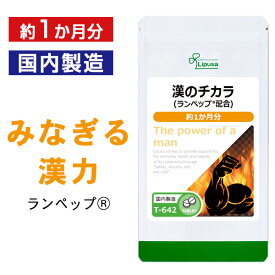 【最大10％OFFクーポン＆3個以上でP10倍】 漢のチカラ 約1か月分 T-642 (120粒) 送料無料 リプサ サプリメント ISA アイエスエー エゾウコギ ヒハツ