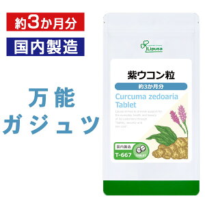 �y100�~OFF�N�[�|���z�z���z ���E�R���� ��3������ T-667 (930��) �������� ���v�T �T�v�������g ISA �A�C�G�X�G�[ �K�W���c �E�R��