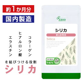 【公式】 シリカ 約1か月分 T-671 送料無料 ISA リプサ Lipusa サプリ サプリメント スギナ抽出 植物 ミネラル