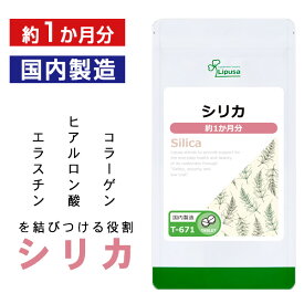 【ポイント10倍★10％OFFクーポン配布中】 シリカ 約1か月分 T-671 送料無料 ISA リプサ Lipusa サプリ サプリメント スギナ抽出 植物 ミネラル