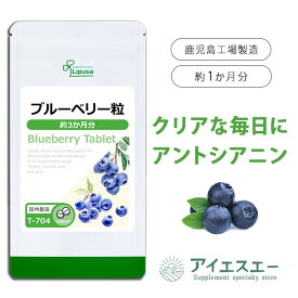 【最大50％OFFクーポン配布中】 ブルーベリー粒 約3か月分 T-704 (360粒) 送料無料 リプサ サプリメント ISA アイエスエー 有数の果物産地 ポーランド産 ブルーベリー 使用
