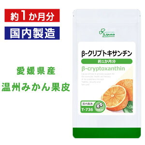 yő11OFFN[|zzz -NvgLT` 1 T-736 (120)  vT Tvg ISA ACGXG[ Y݂ JemChFf k