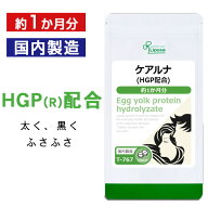 【最大30％OFFクーポン配布中】 ケアルナ(HGP配合) 約1か月分 T-767 (60粒) 送料無料 リプサ サプリメン…