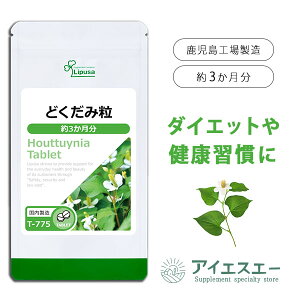 yő11OFFN[|zzz ǂݗ 3 T-775 (360)  vT Tvg ISA ACGXG[ vTY hN_~ gp