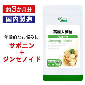 y118~OFFN[|zzz lQ 3 T-776 (450)  vT Tvg ISA ACGXG[ NHi X^~i e NIȂY T|[g
