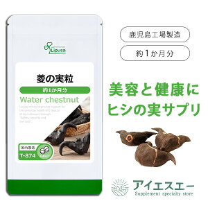 yz H̎ 1 T-874 (60)  vT Tvg ISA ACGXG[ Ђ̎ TVőfނЉ܂ |tFm[ ~l eƌNg[^T|[g NH