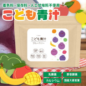 【最大39％OFFクーポン配布中】 こども青汁 ブルーベリー 120g P-1121 送料無料 リプサ ISA アイエスエー サプリメント専門店の 子ども向け青汁 国産 大麦若葉配合 フルーツ風味 合成着色料 人工甘味料 保存料 不使用 《新商品》