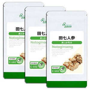 yő11OFFN[|zzz clQ 1×3 C-102-3 (90JvZ×3)  vT Tvg ISA ACGXG[ NHi T|j G]ERM z ߂ sPi10