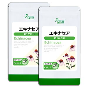 yő50OFFN[|zzz GLiZA 1×2 C-117-2 (60JvZ×2)  vT Tvg ISA ACGXG[ NHi CȖ sPi10t