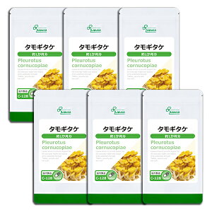 y|Cgő10{ N[|Lz ^M^P 1×6 C-128-6 (90JvZ×6)  vT Tvg ISA ACGXG[ -OJ Lx A~m_ Y  gp s