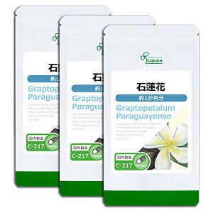 yő11OFFN[|zzz Θ@ 1×3 C-217-3 (60JvZ×3)  vT Tvg ISA ACGXG[ _CGbgTv ZLJ Ml} sPi10t