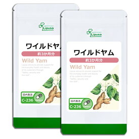 【公式】 ワイルドヤム 約3か月分×2袋 C-236-2 (90カプセル×2袋) 送料無料 リプサ サプリメント ISA アイエスエー キレイと元気をバックアップ 女性応援サプリ 《単品より10％お得》