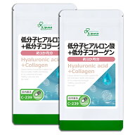 【最大15％OFFクーポン有】 低分子ヒアルロン酸＋低分子コラーゲン 約3か月分×2袋 C-239-2 (180カプセル…