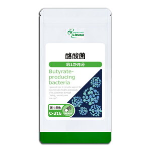 yő11OFFN[|zzz _ 1 C-316 (30JvZ)  vT Tvg ISA ACGXG[ 炭 Zb_