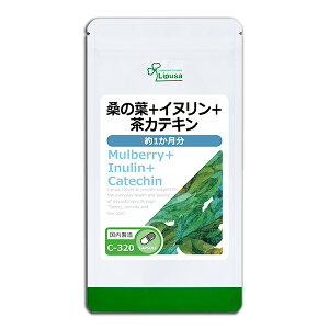 y|Cg11{ 111~OFFN[|Lz K̗t{Ck{JeL 1 C-320 (60JvZ)  vT Tvg ISA ACGXG[ TVA e ΒGLX I z _CGb