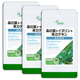 【最大50％OFFクーポン＆ポイント最大20倍】 桑の葉＋イヌリン＋茶カテキン 約1か月分×3袋 C-320-3 (60カプセル×3袋) 送料無料 リプサ サプリメント ISA アイエスエー サラシア 菊芋 緑茶エキス 生姜 配合 ダイエットサポート 《単品より5％お得》