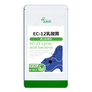 �y�ő�30��OFF�N�[�|���z�z���z EC-12���_�� ��1������ C-417 (30�J�v�Z��) �������� ���v�T �T�v�������g ISA �A�C�G�X�G�[ �A�~�m�_