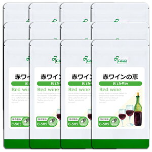 yő11OFFN[|zzz ԃČb 1×12 C-505-12 (60JvZ×12)  vT Tvg ISA ACGXG[ GCWOPA sPi10t