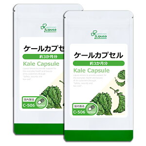 yő50OFFN[|zzz P[JvZ 3×2 C-506-2 (180JvZ×2)  vT Tvg ISA ACGXG[ Xxg[ |tFm[ sPi10