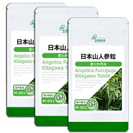 【スーパーSALE期間中 10％OFF】 日本山人参粒 約1か月分×3袋 M-001-3 (90粒×3袋) 送料無料 リプサ サ…