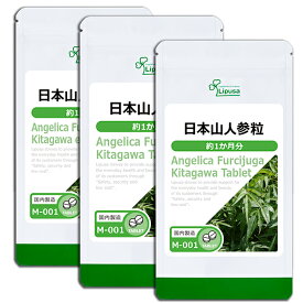 【ポイント10倍＆10％OFFクーポン有】 日本山人参粒 約1か月分×3袋 M-001-3 (90粒×3袋) 送料無料 リプサ サプリメント ISA アイエスエー 健康サポート 国産 ヒュウガトウキ 《単品より10％お得》