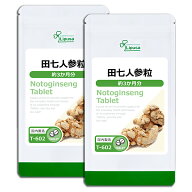 【公式】 シナモン粒 約3か月分×2袋 T-601-2 (360粒×2袋) 送料無料 リプサ サプリメント ISA アイエス…