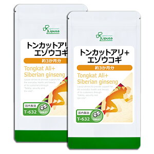 yX[p[SALEԒ10OFFz gJbgA{G]ERM 3×2 T-632-2 (360×2)  vT Tvg ISA ACGXG[  T|j sPi10t