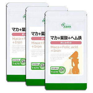 yő11OFFN[|zzz }J{t_{wS 1×3 T-670-3 (120×3)  vT Tvg ISA ACGXG[ S sPi10t