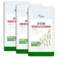 【最大30％OFFクーポン配布中】 シリカ 約1か月分×3袋 T-671-3 (60粒×3袋) 送料無料 リプサ サプリメン…