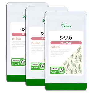 【最大50%OFFクーポン配布中】 シリカ 約1か月分×3袋 T-671-3 (60粒×3袋) 送料無料 リプサ サプリメント ISA アイエスエー スギナ抽出 植物 ミネラル 《単品より10%お得》
