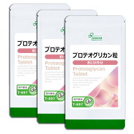 【P5倍＆最大15％OFFクーポン有】 プロテオグリカン粒 約1か月分×3袋 T-697-3 (30粒×3袋) 送料無料 リ…