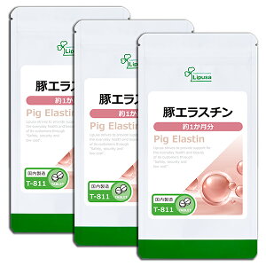 yő50OFFN[|zzz ؃GX` 1×3 T-811-3 (60×3)  vT Tvg ISA ACGXG[ R[Q GCWOPA sPi10t