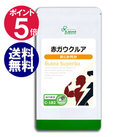 楽天市場 プエラリア 男性の通販