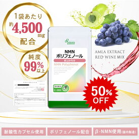 【スーパーSALE半額】 NMNポリフェノール 約1か月分 C-283 (30カプセル) 送料無料 リプサ サプリメント ISA アイエスエー 純度99%以上 NMN 1袋に4,500mg配合 耐酸性カプセル エイジングケア