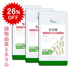 【12/3 20時〜26％OFF】 シリカ 約1か月分×3袋 T-671-3 (60粒×3袋) 送料無料 リプサ サプリメント ISA アイエスエー スギナ抽出 植物 ミネラル 《単品より10％お得》
