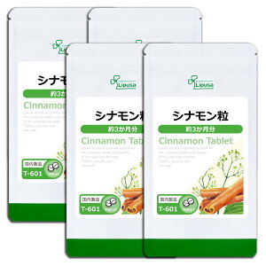 yVZbgiz Vi 3×4 T-601-4 (360×4)  vT Tvg ISA ACGXG[ NHi XJY ZC Vi gp GCWOPA ܂Ƃߔ