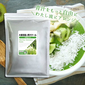 yő39OFFN[|zzz 唞t{`P[ 200g T-616  vT ISA ACGXG[ TvgX ̐`  pE_[^Cv e 100`